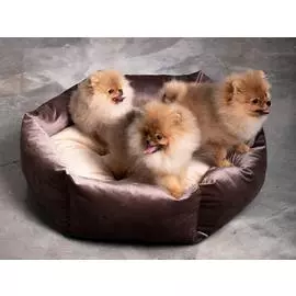 Лежак для животных Willow&amp;Berry Zoe 80x53x20 см