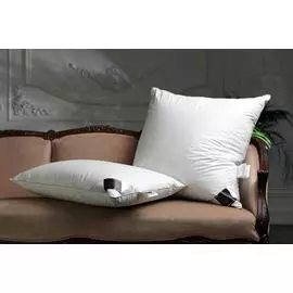 Подушка Trois Couronnes De Luxe Selection Goose Down 60x60 см