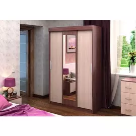 Шкаф-купе MaxМебель Бася