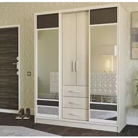 Шкаф-купе MaxМебель Фортуна