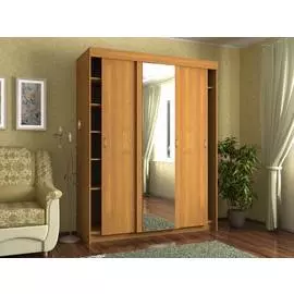 Шкаф - купе СлавМебель 1650