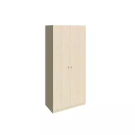 Шкаф РВ-мебель 45