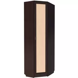 Шкаф угловой СлавМебель 310