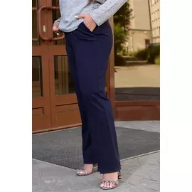 Брюки НТ-13338 Синий