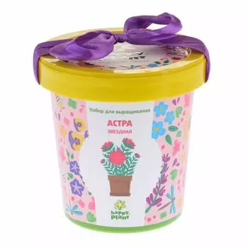 Астра звездная