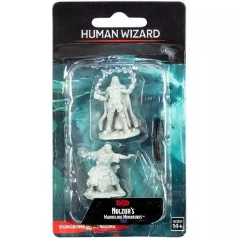 D&amp;D Nolzur's Marvelous Miniatures: Человек Волшебник Мужчина