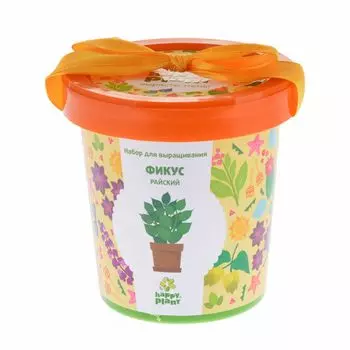 Фикус райский