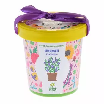 Ипомея красавица