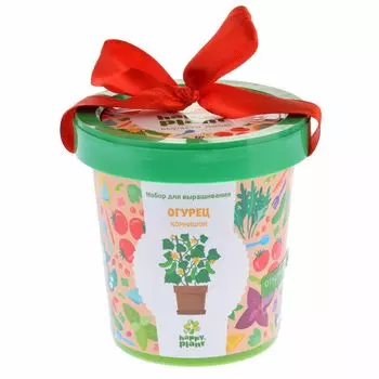 Огурец корнишон