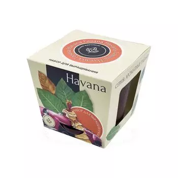 Plant Republic: Табак Гавана