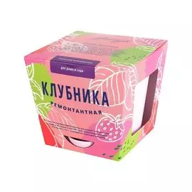 Тысяча листьев: Клубника ремонтантная