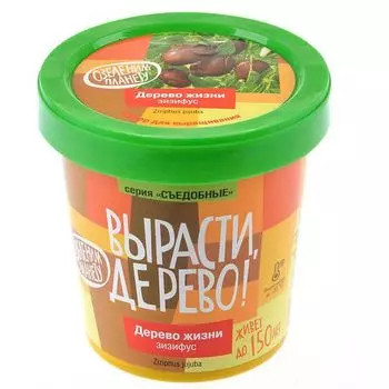 Вырасти дерево: Дерево жизни зизифус