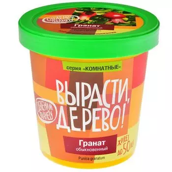 Вырасти дерево: Гранат обыкновенный