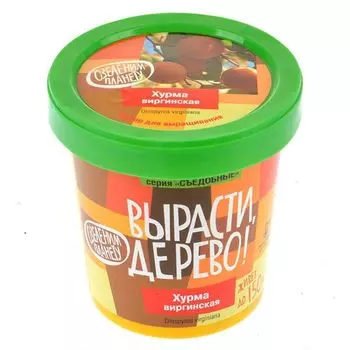 Вырасти дерево: Хурма виргинская