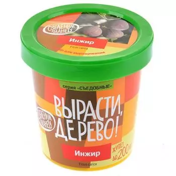 Вырасти дерево: Инжир