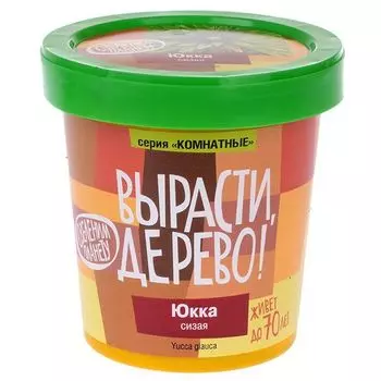 Вырасти дерево: Юкка сизая