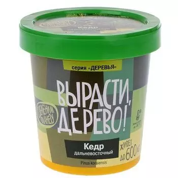 Вырасти дерево: Кедр дальневосточный