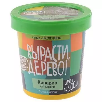 Вырасти дерево: Кипарис Аризонский