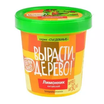 Вырасти дерево: Лимонник китайский