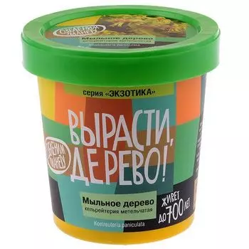 Вырасти дерево: Мыльное дерево