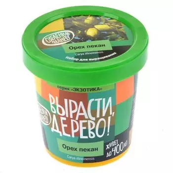 Вырасти дерево: Орех пекан