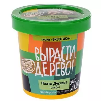 Вырасти дерево: Пихта Дугласа голубая