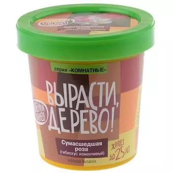 Вырасти дерево: Сумасшедшая роза