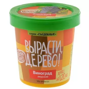 Вырасти дерево: Виноград Амурский