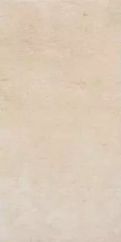 BL01 30x60 Непол.Рект.