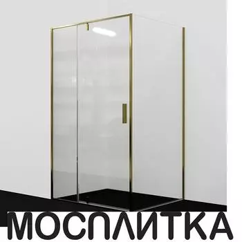 Боковая перегородка Wasserkraft Aisch 100х200 см 55P10-RP100 профиль золото, стекло прозрачное