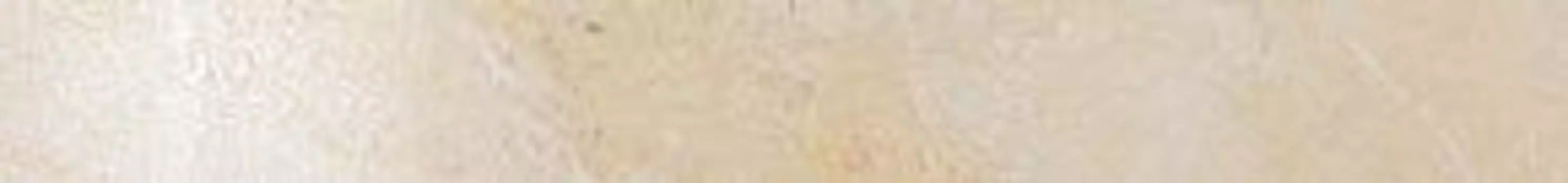 Бордюр Привиледж Аворио 7,2х60