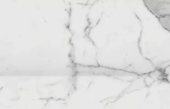 Бордюр Шарм Эво Статуарио Альцата 20х30