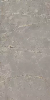 BR03 60x120x10 Полир.