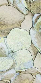 Декор Rockyart лаймлайт 60х120