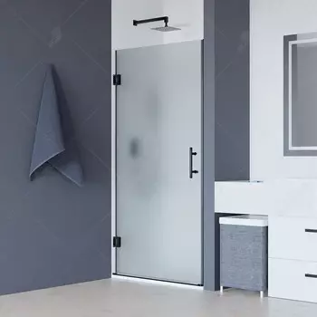 Душевая дверь RGW HO-011B, 350601108-24