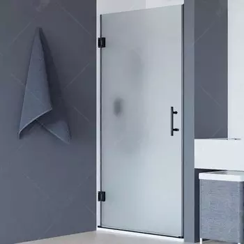 Душевая дверь RGW HO-011B, 350601109-24