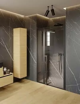 Душевая дверь Riho Lucid GD104 1200 x 2000 Black