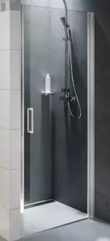 Душевая дверь Riho Novik Z101 100