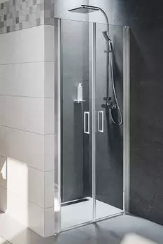 Душевая дверь Riho Novik Z111 100