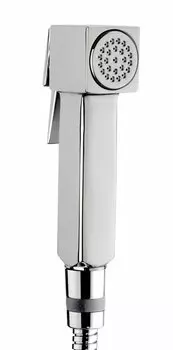 Гигиеническая лейка B00475.030 Bossini Cube Brass