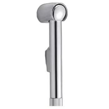 Гигиеническая лейка Damixa 760210164, хром