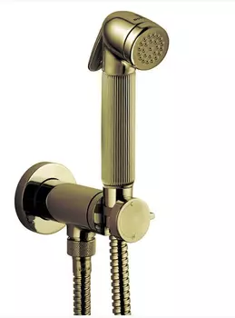 Гигиенический душ Bossini Nikita Mixer Set, E37008.022, бронза