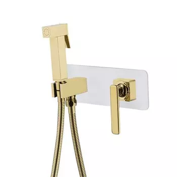 Гигиенический душ со смесителем Lemark Mista LM6419WG, встраиваемый