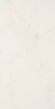 Керамогранит Allmarble Altissimo Rett. 60х120