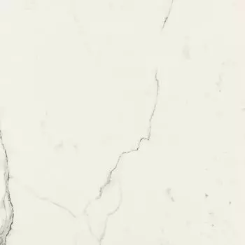 Керамогранит Allmarble Statuario Lux Rett. 58х58