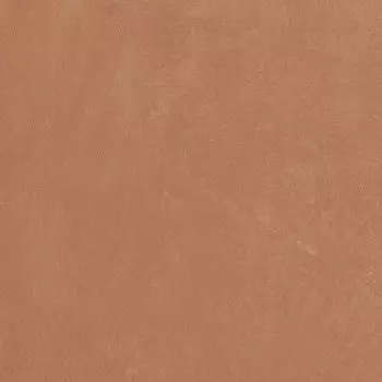 Керамогранит Anti-Slip Argillae Coral Rect 60х60