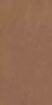 Керамогранит Anti-Slip Argillae Terra Rect 30х60