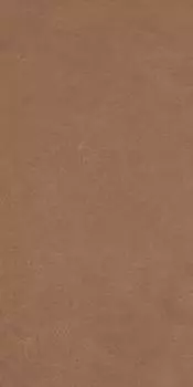 Керамогранит Anti-Slip Argillae Terra Rect 60х120