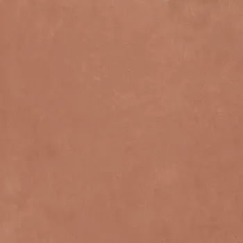 Керамогранит Argillae Coral Rect 120х120