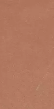 Керамогранит Argillae Coral Rect 30х60